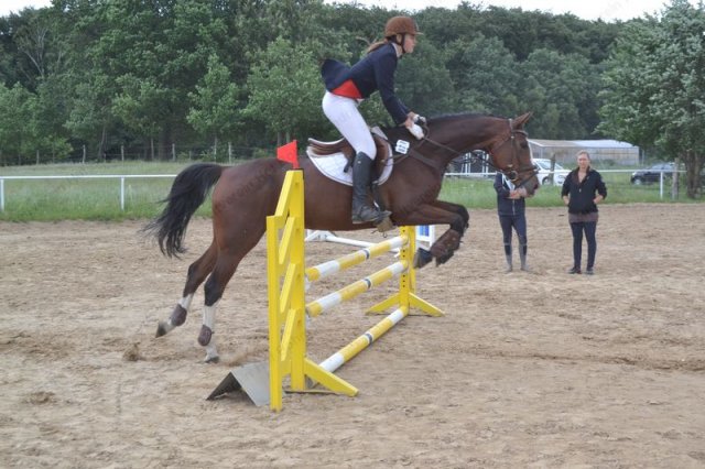 reitertag 2013 67